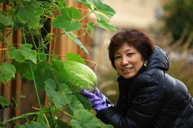 carol chen的个人空间