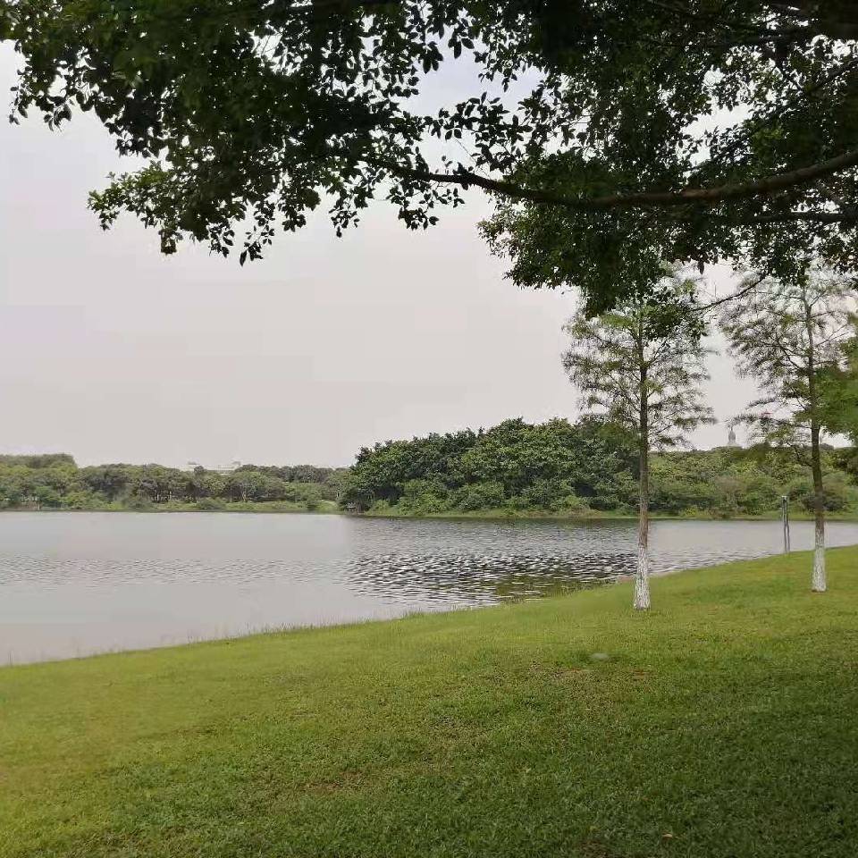 用戶頭像