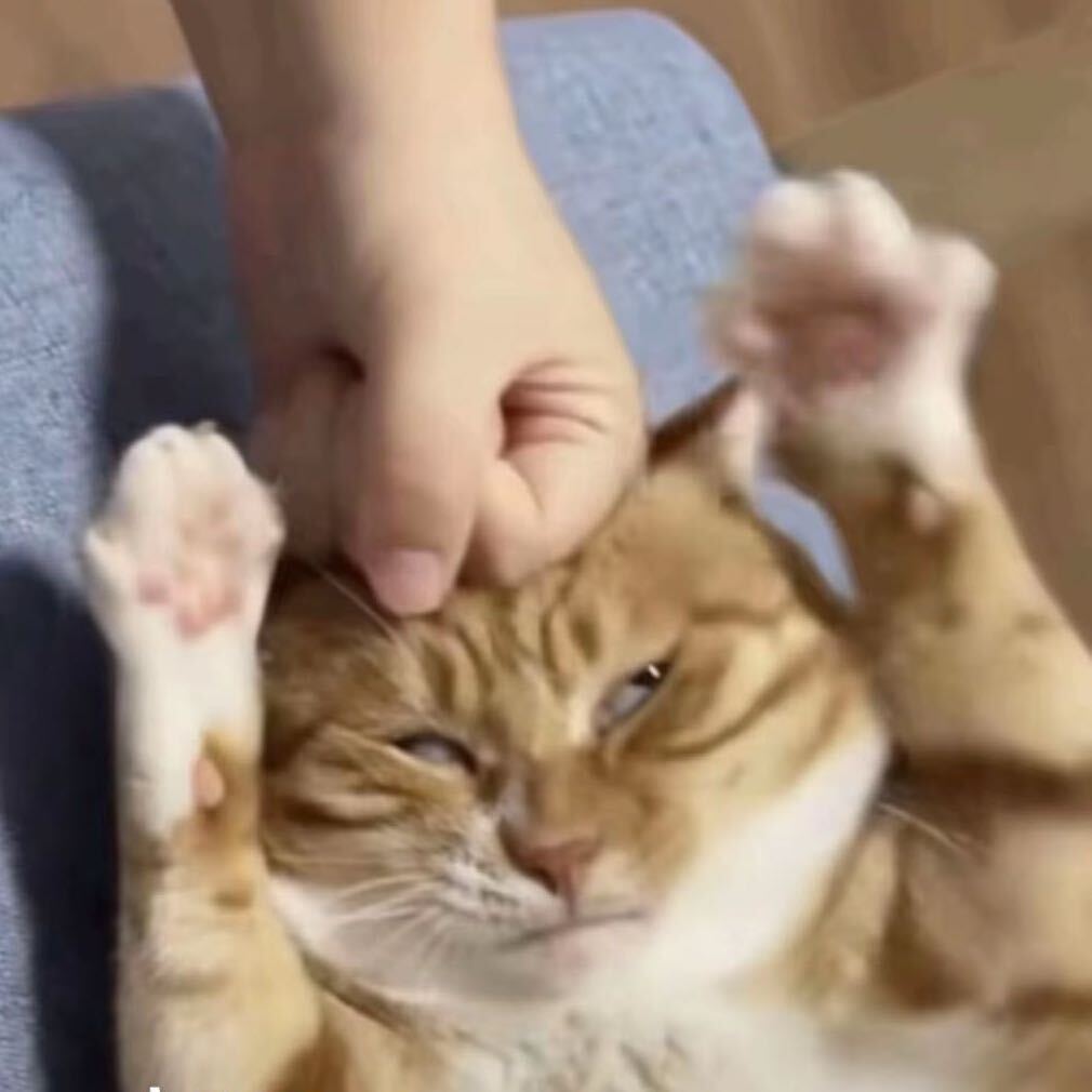 对捂住，我系差人