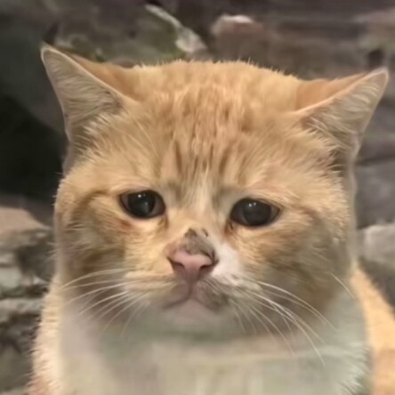 姑苏城外