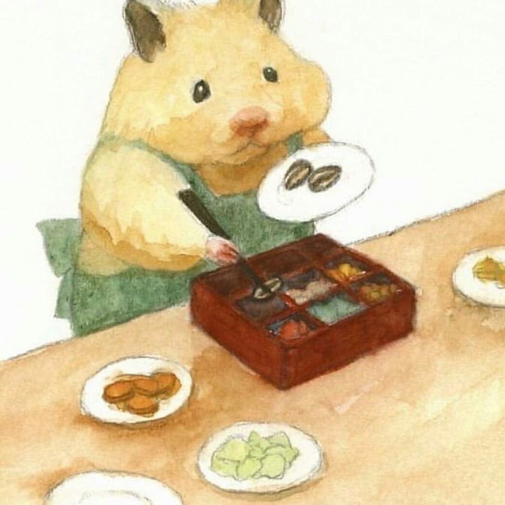 赵送涛