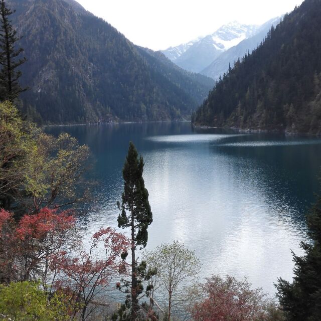 阿易 ~ 启泰