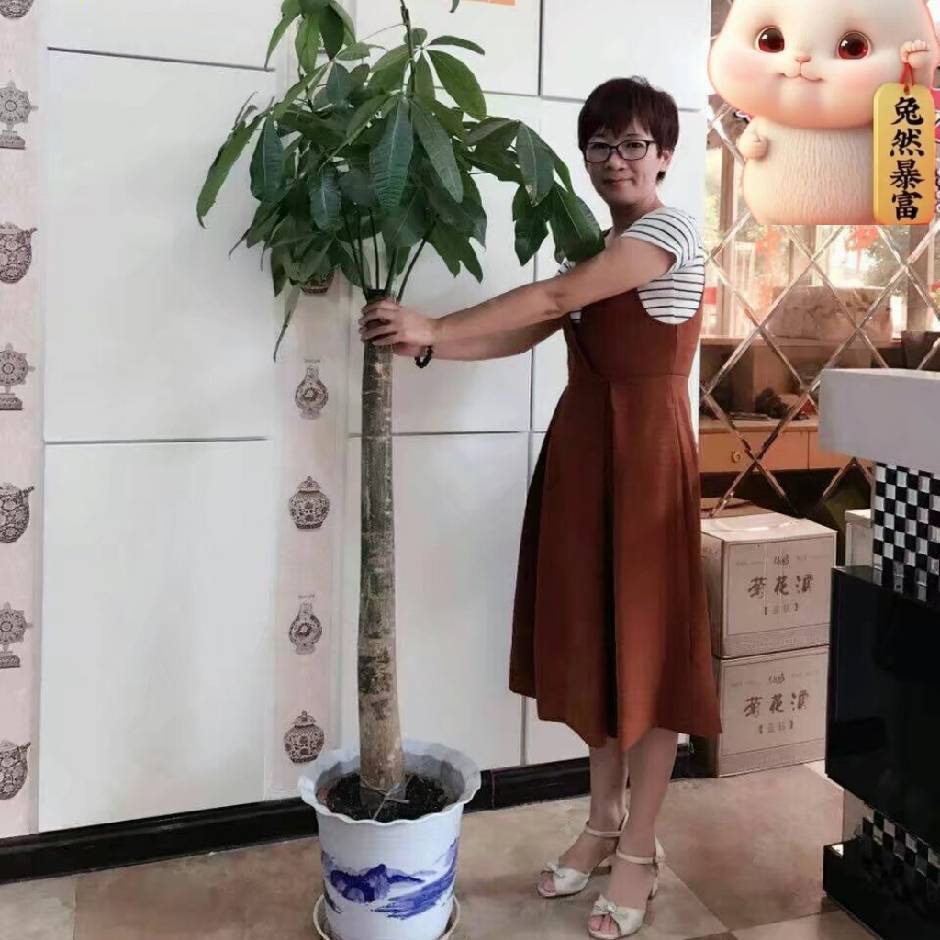 云淡の风轻