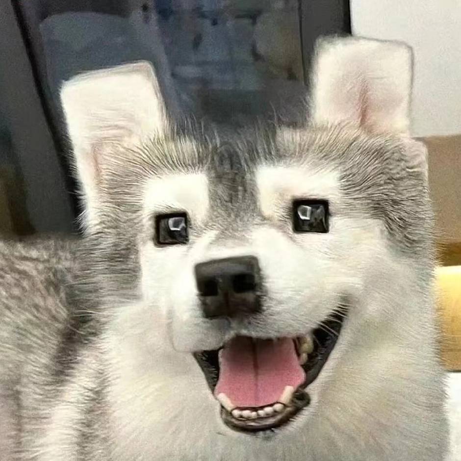 羊村恶霸