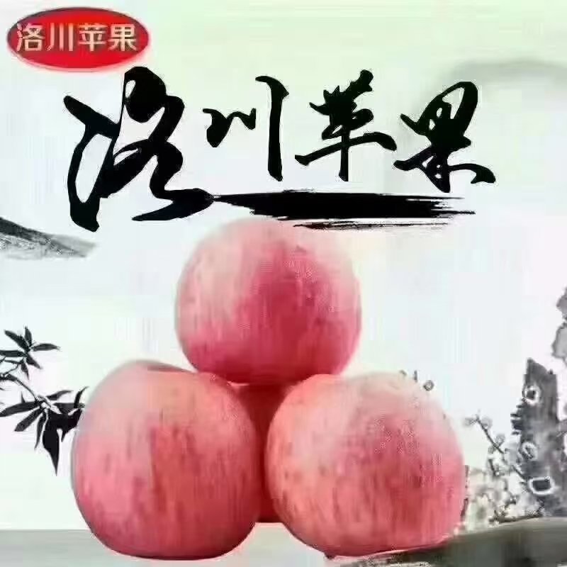 财源广进