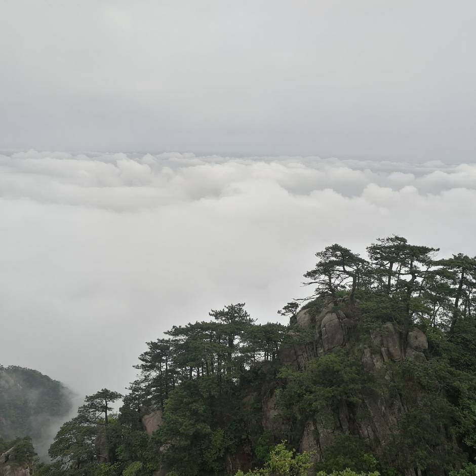 岁月靖好