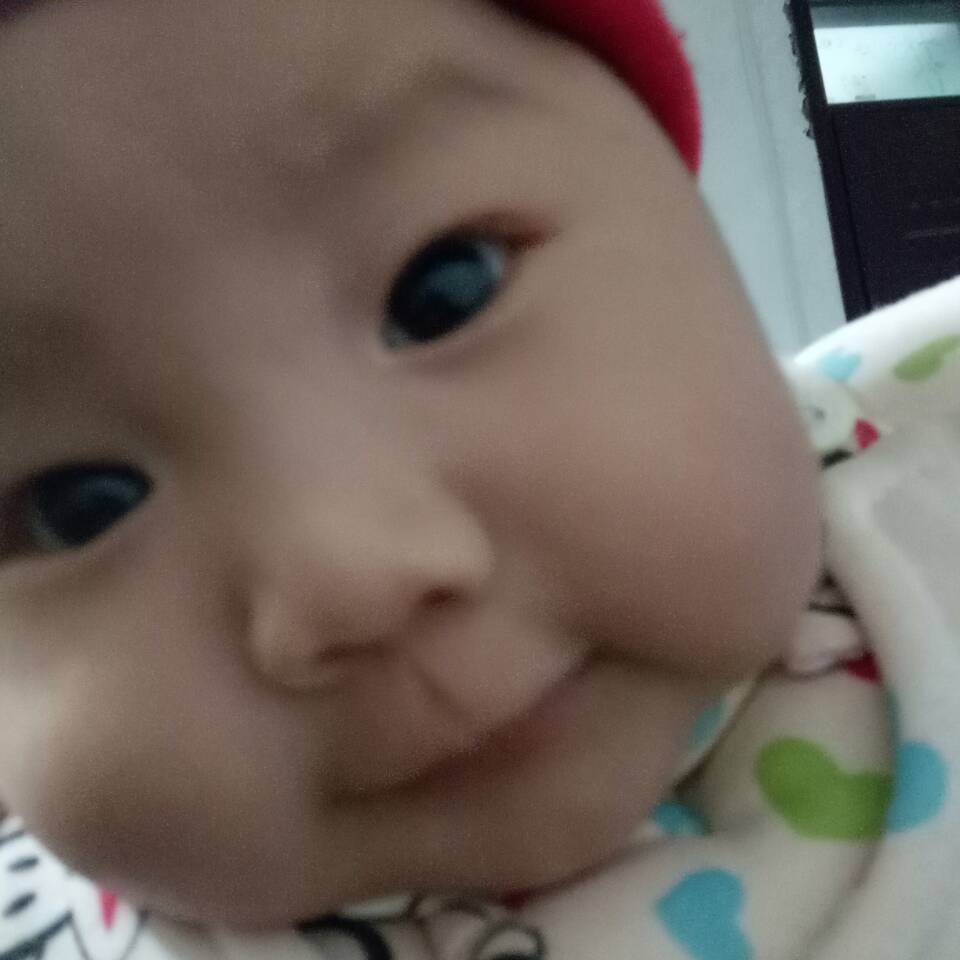 杨柳轻风