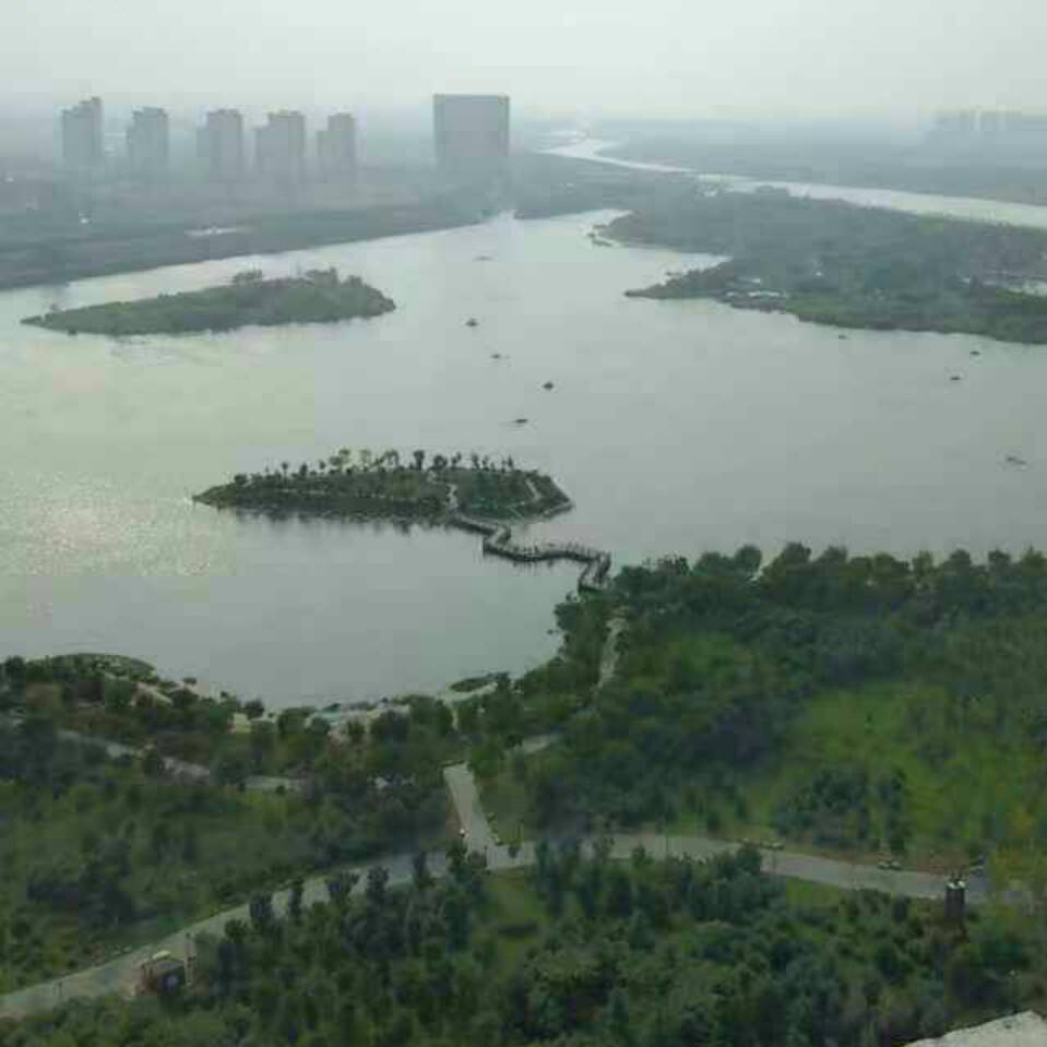 王小京