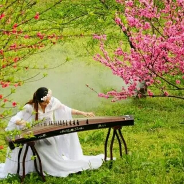  巧笑倩兮美目盼兮芳雅桃花