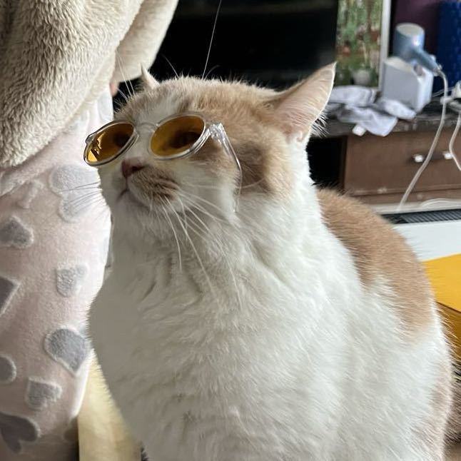 黄宇