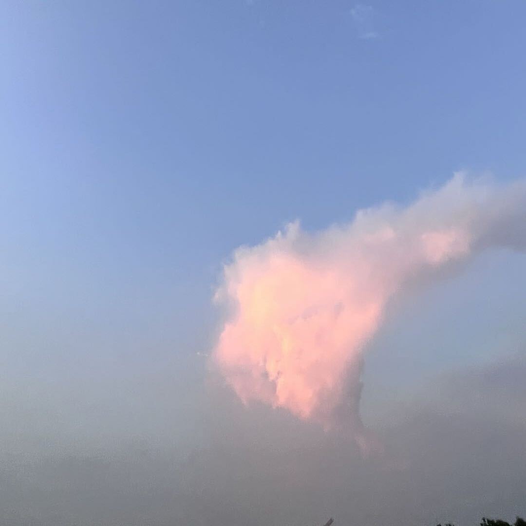 阿木木