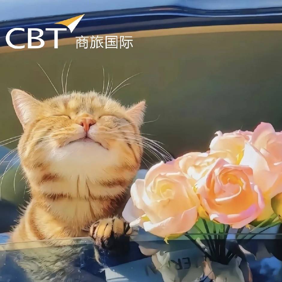 石榴商旅国际18953566067
