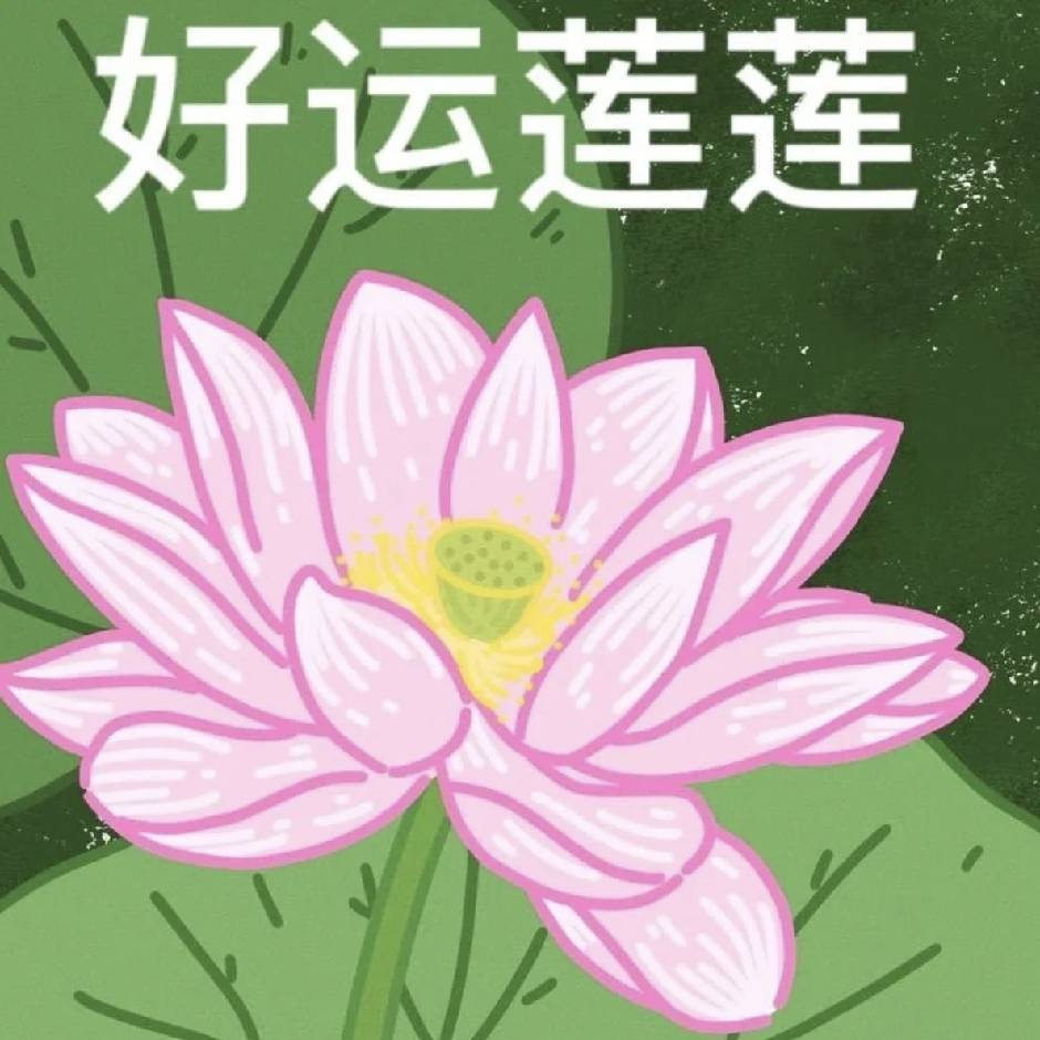 🌸红尘莲心💗