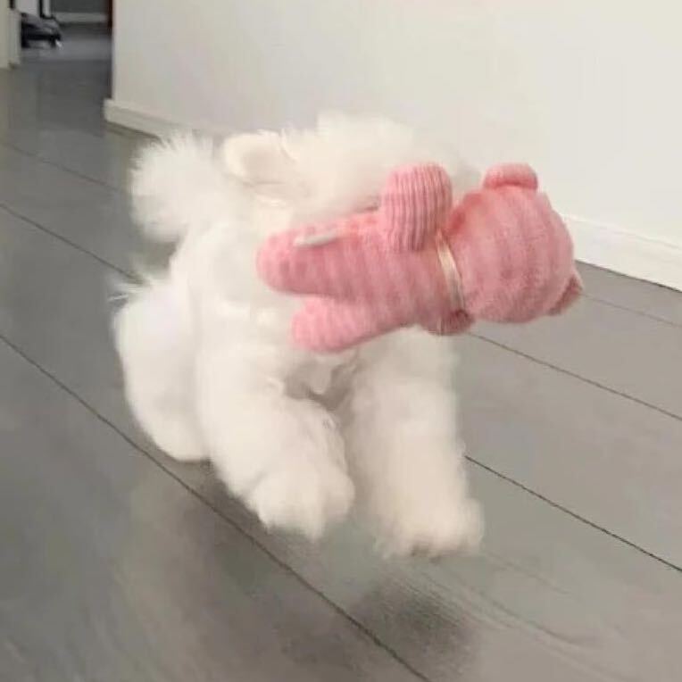 滴答滴🌸°du🎈