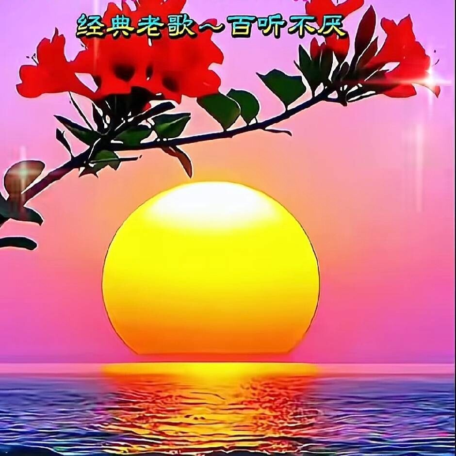 世界因你而美丽