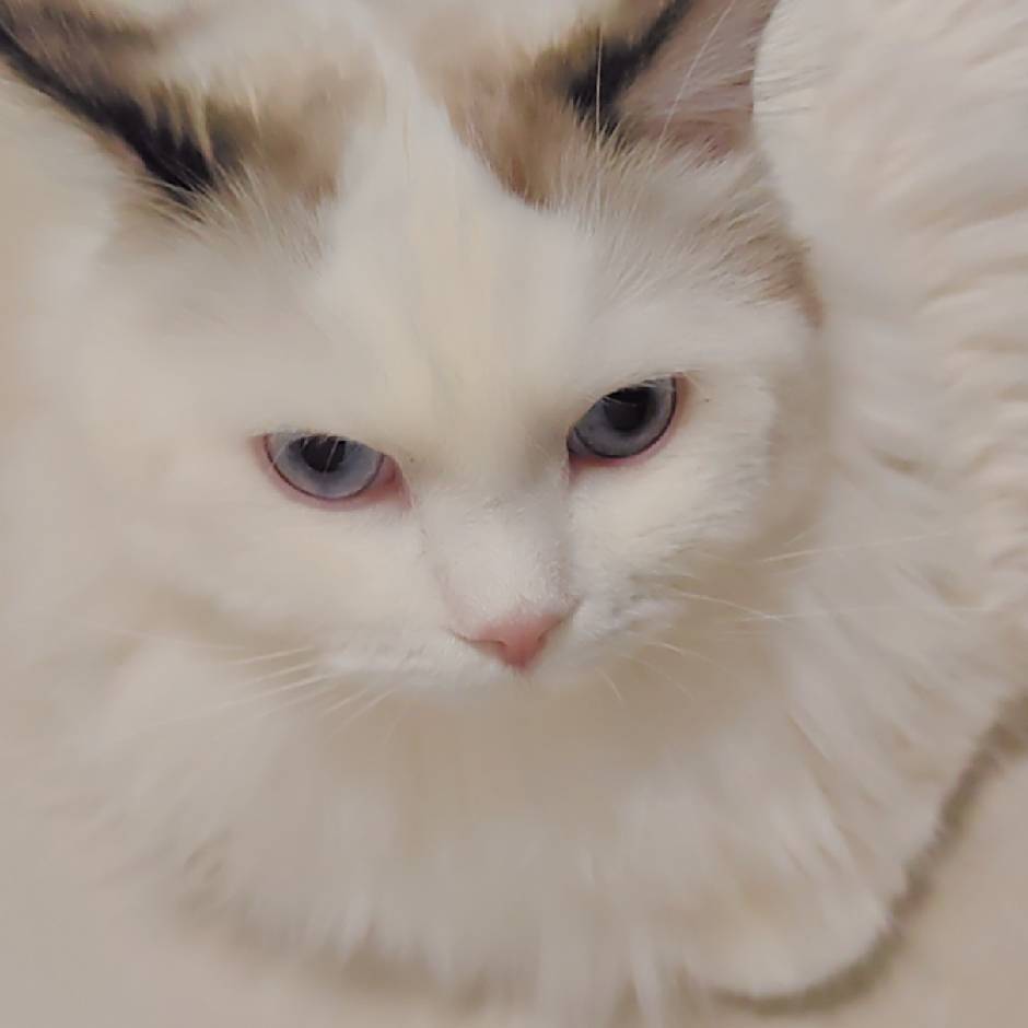 未明