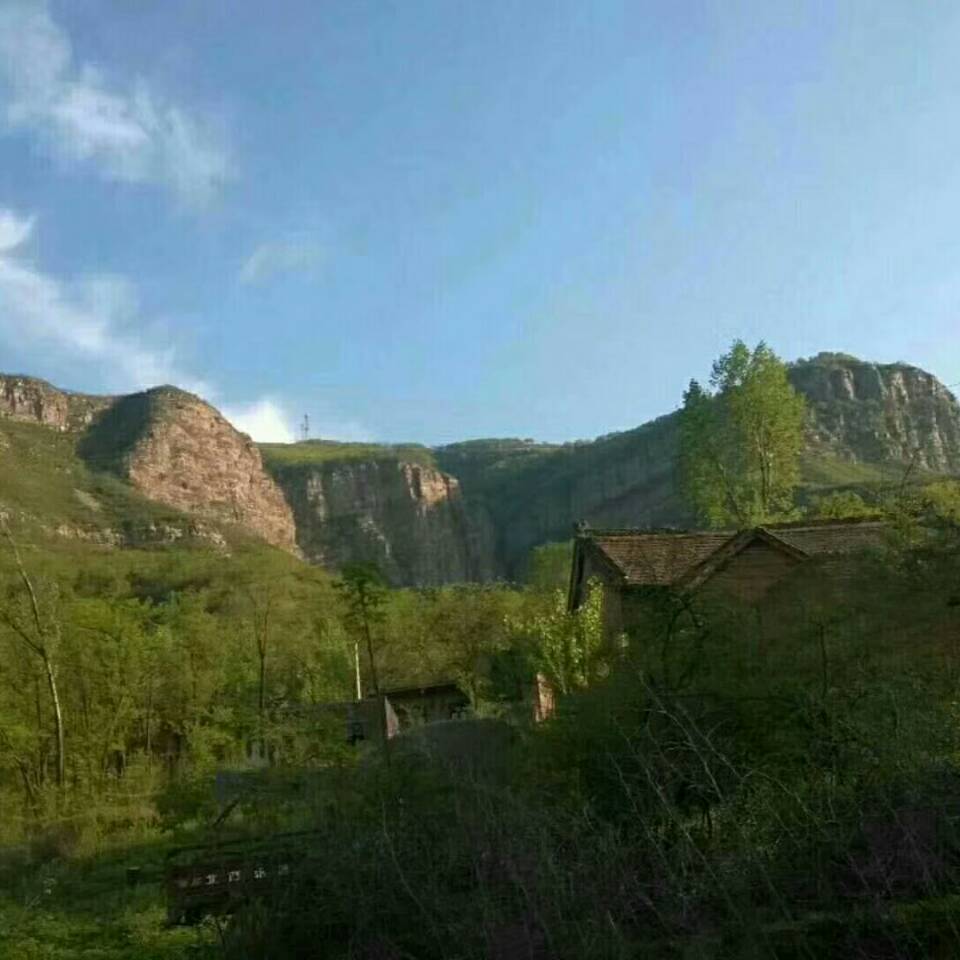 南飞雁