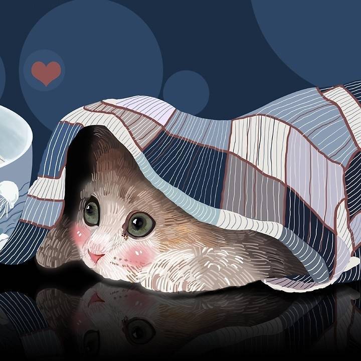 菩提月