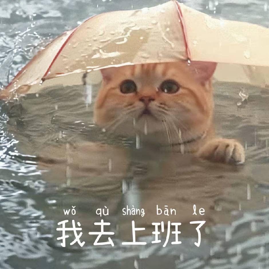向阳而生