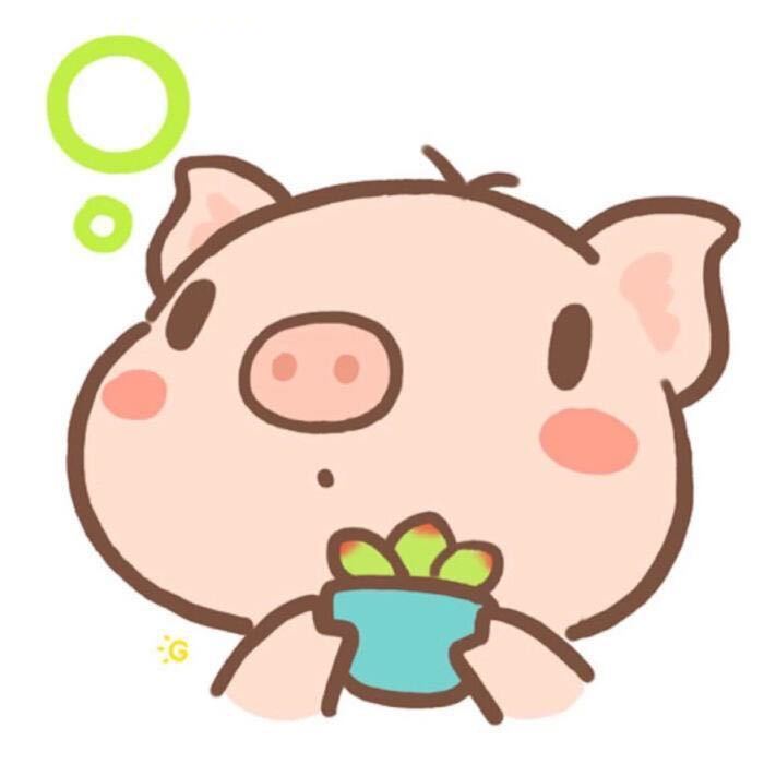 壹城范范