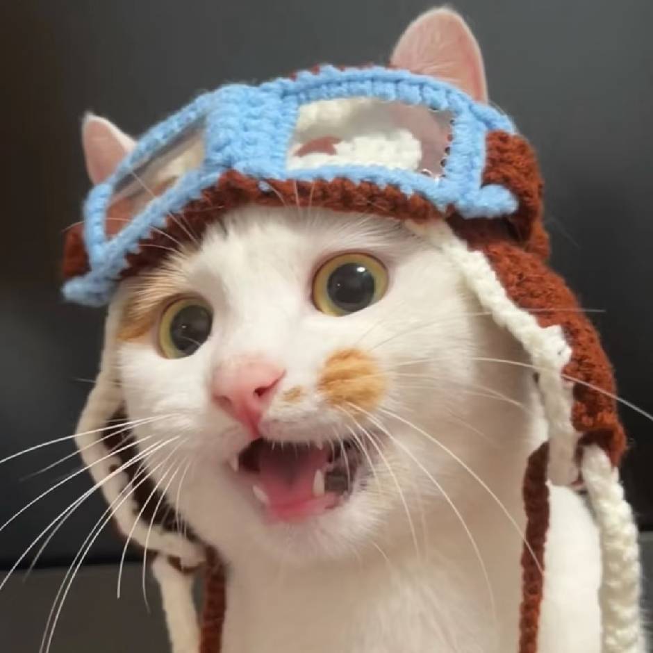 🧌⃢小⃢法