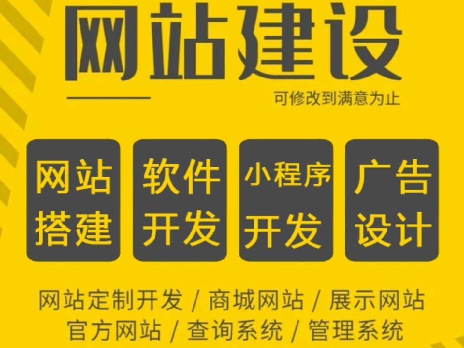 软件开发