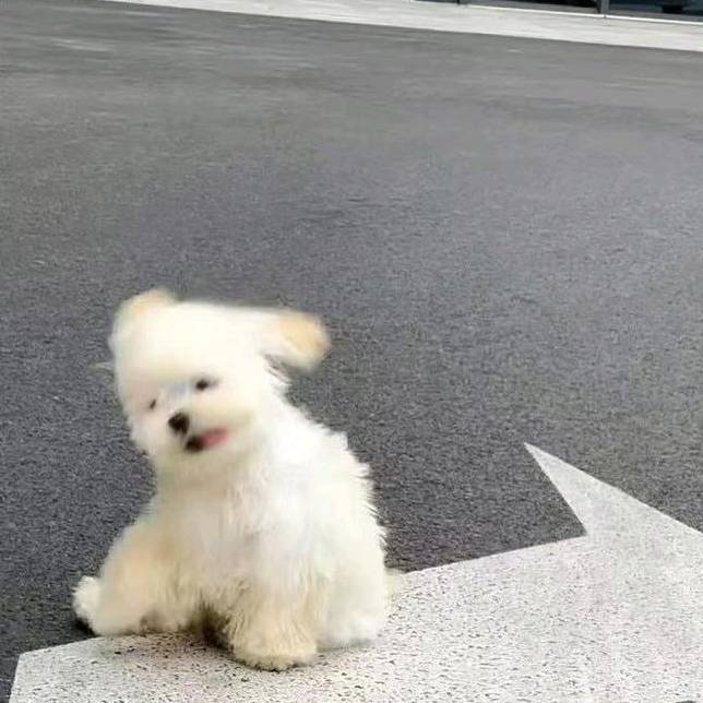 今禾