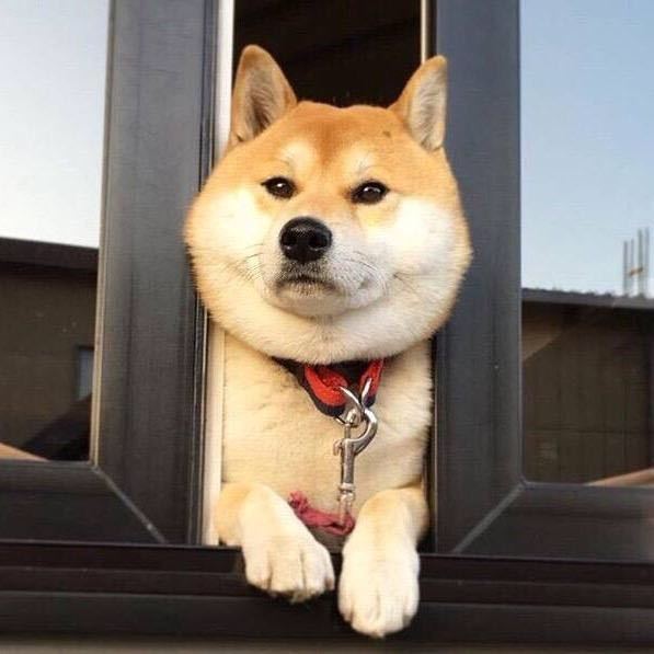 途行