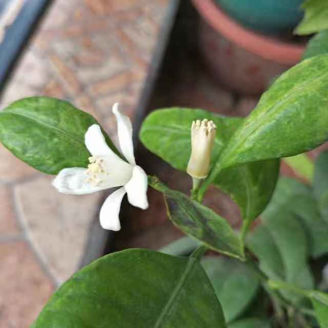 用戶頭像