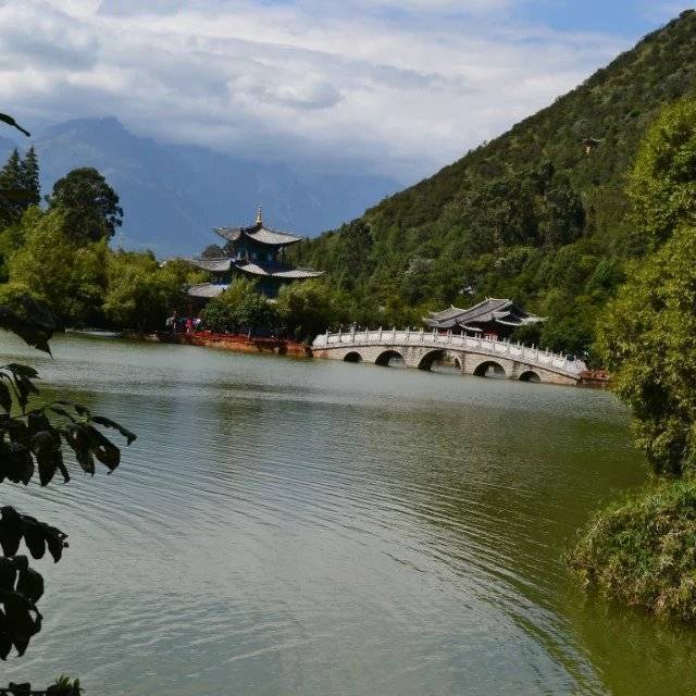 落叶伽蓝