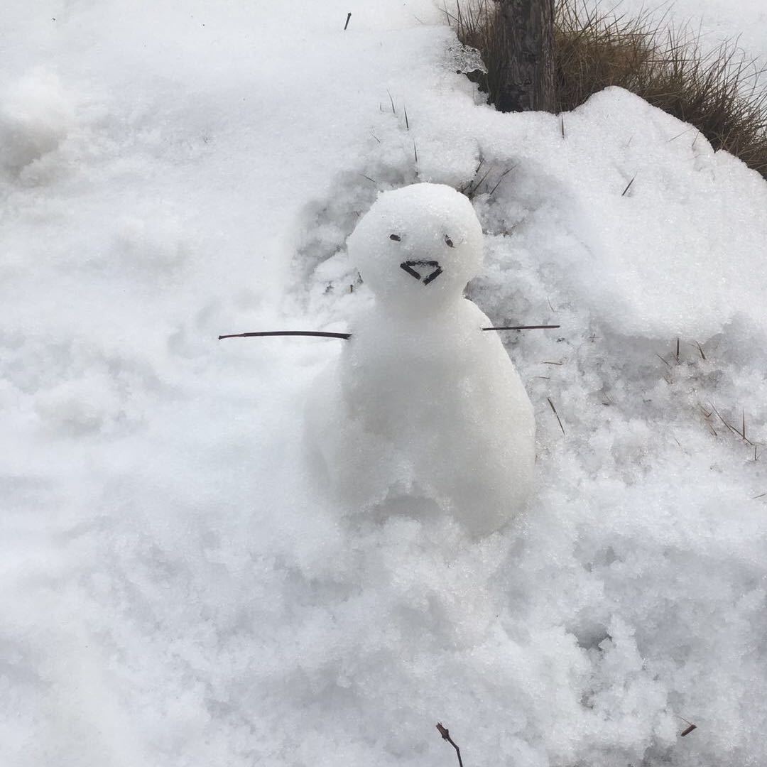 水面上的小草