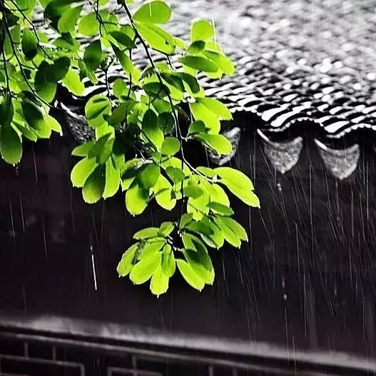 听风数雨