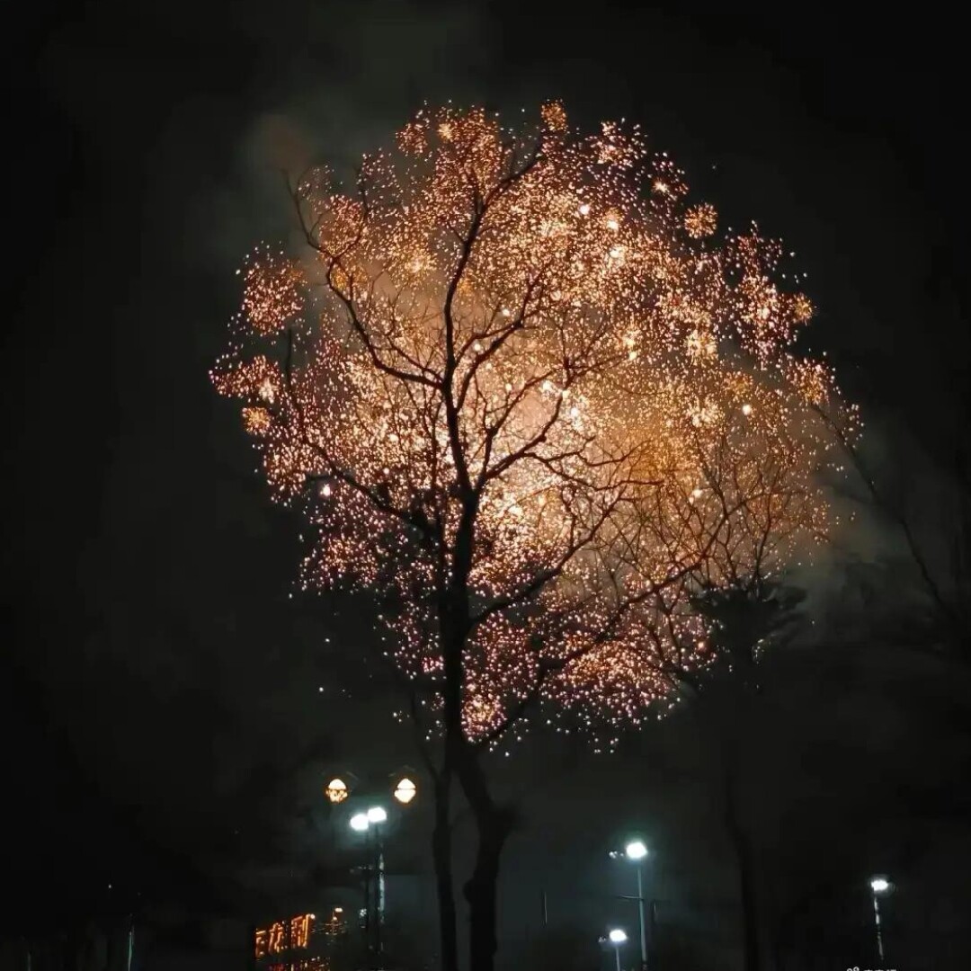 整点吃的
