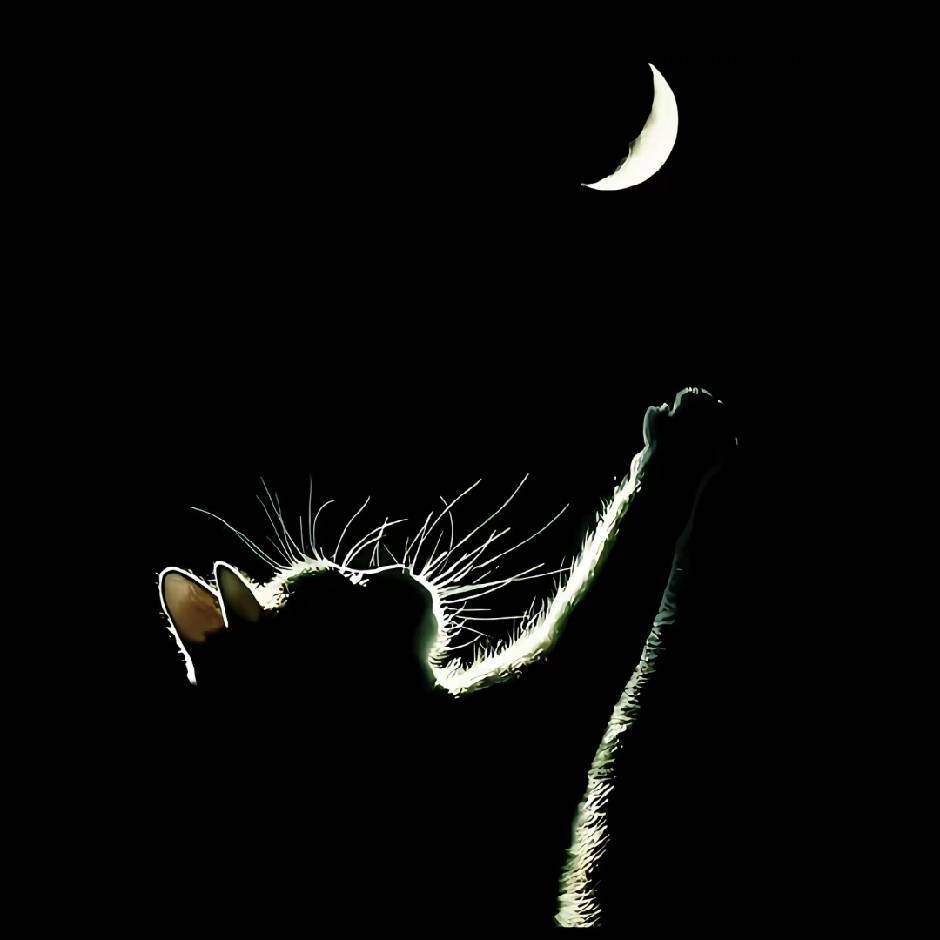 孔妖孽、づ Yoon A