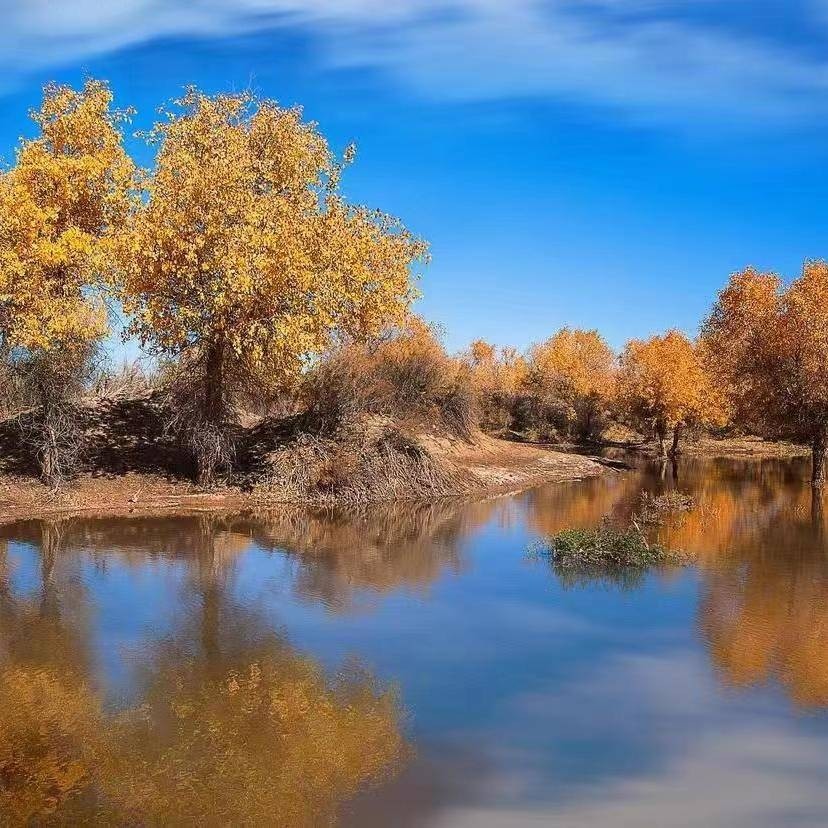 崔书勤科二教练