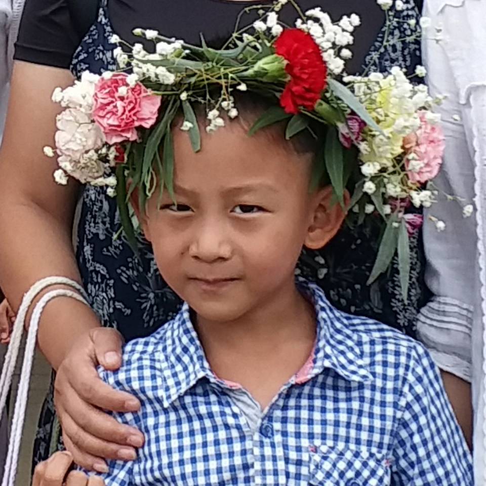 拳拳之心的旅行