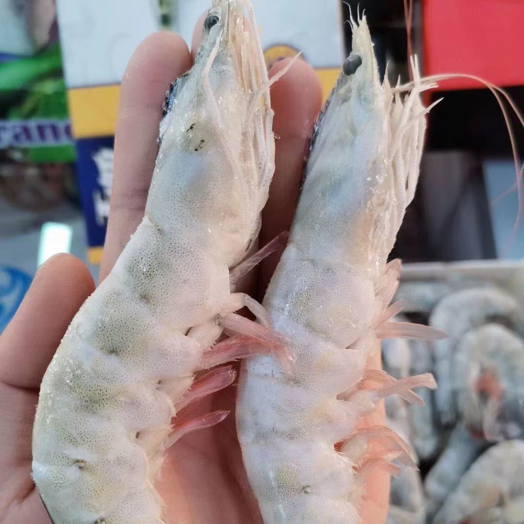 老王海产1号