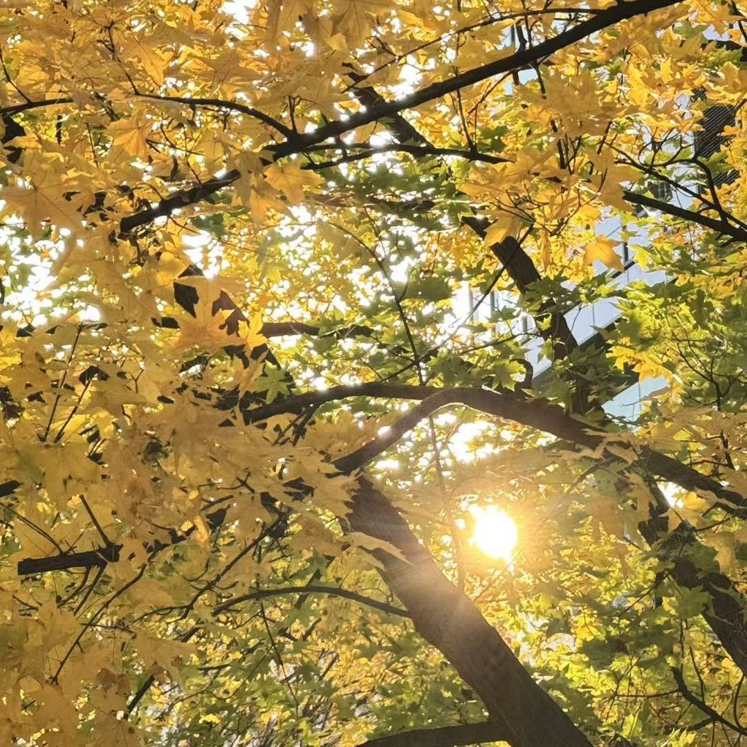 ㅤ