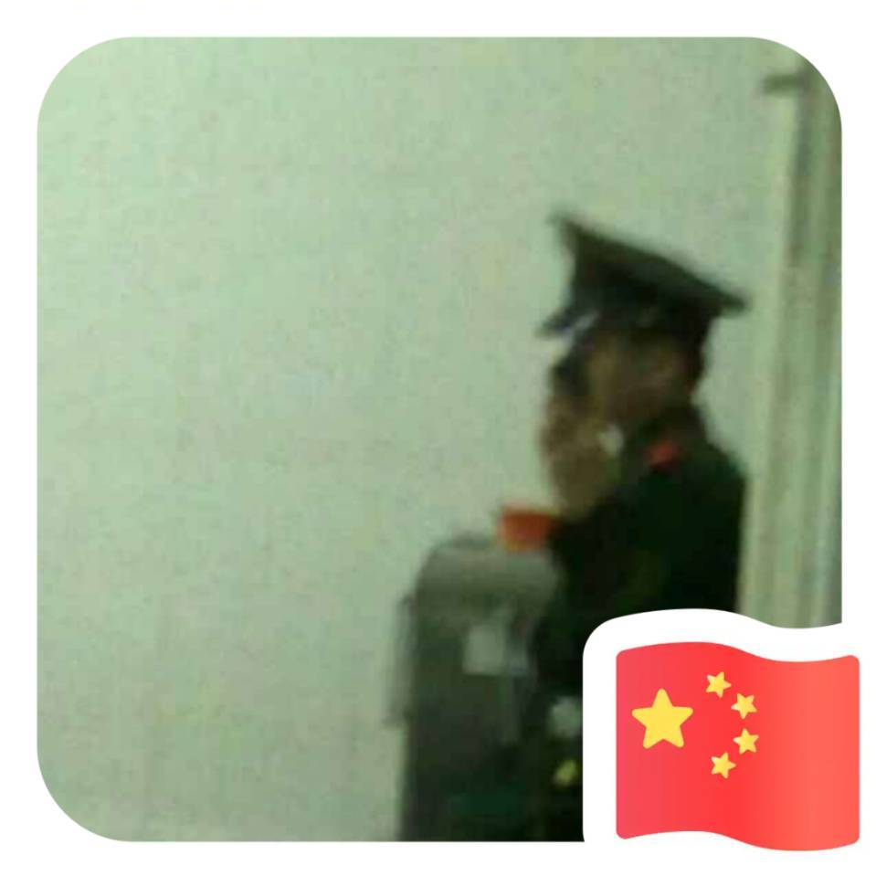 田路路