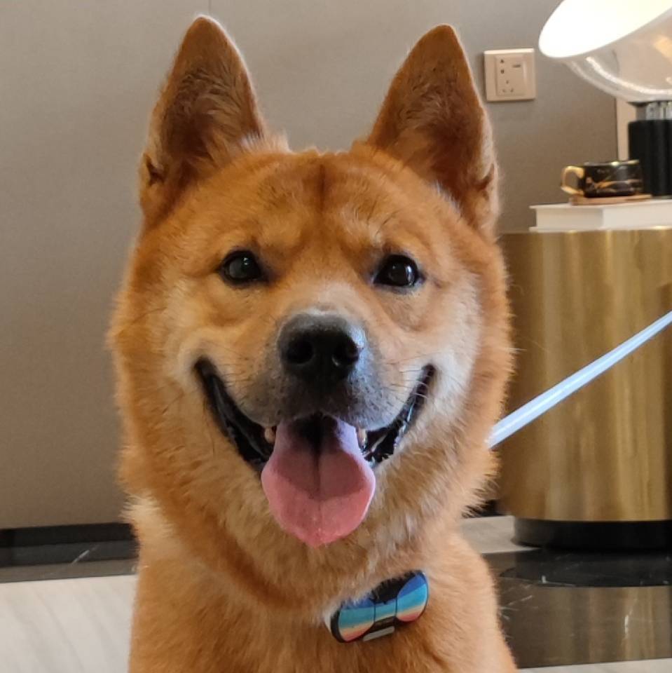 养大黄的阿童木