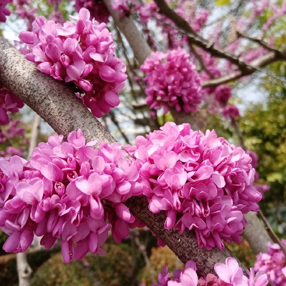 实来运转抬头曰，必定休花夜夜潇。