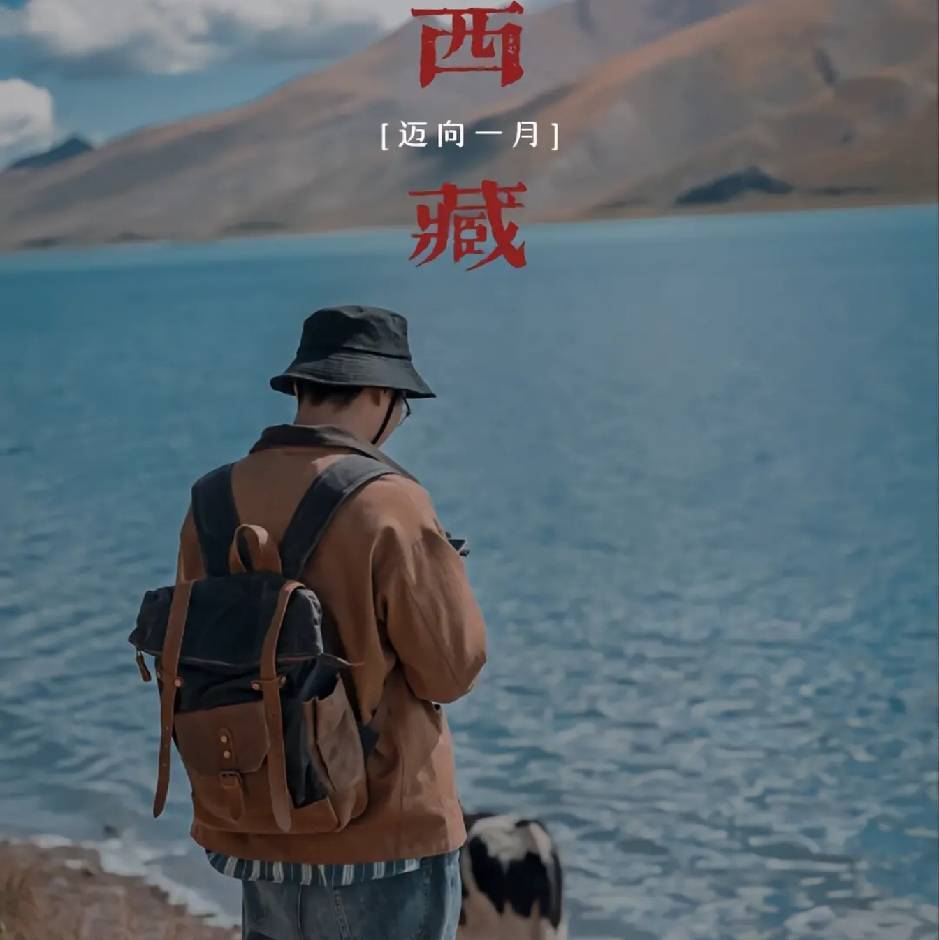 旧林（从业电商八年看朋友圈）