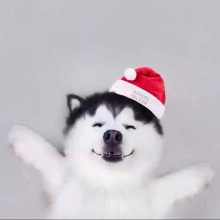 杨永安🐕