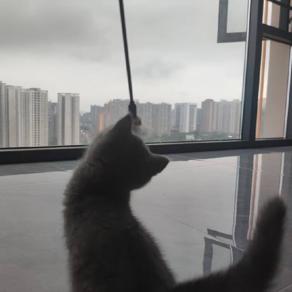 十点差三分📷
