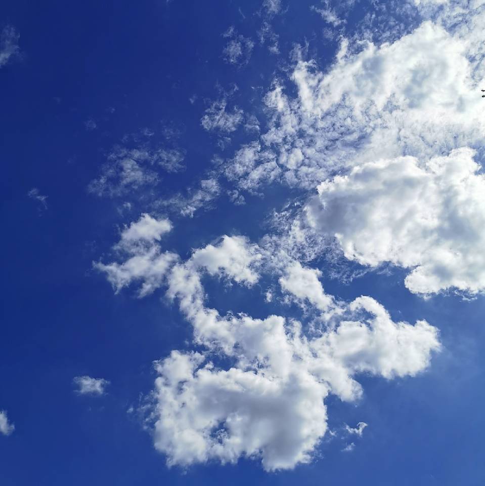 远辉