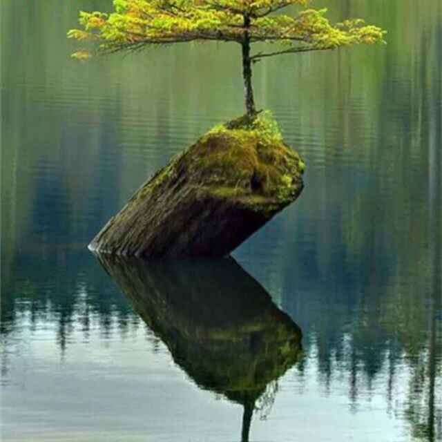 楚煌