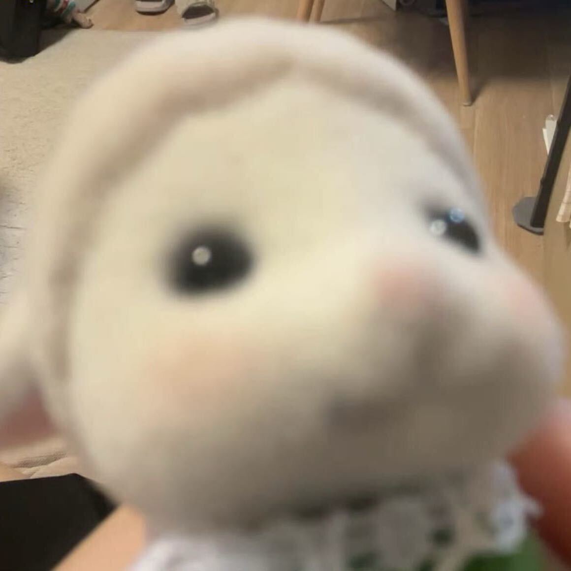 小饼干也不是好当的