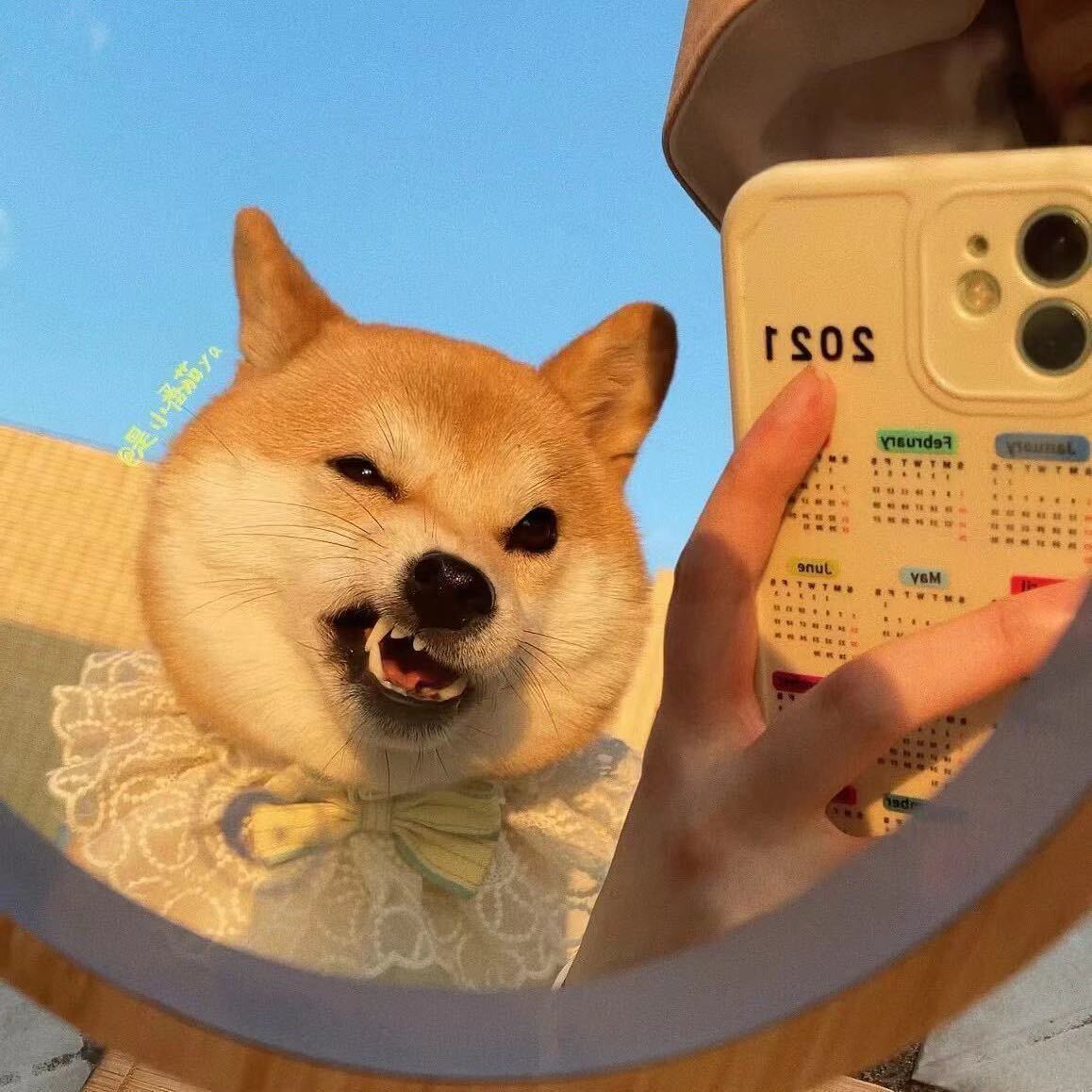 陈梦雨17855828684