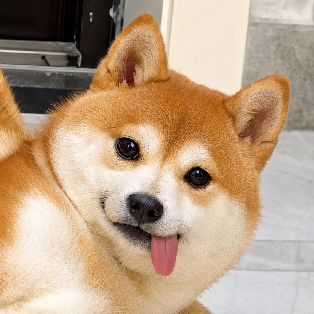 黑暗小超
