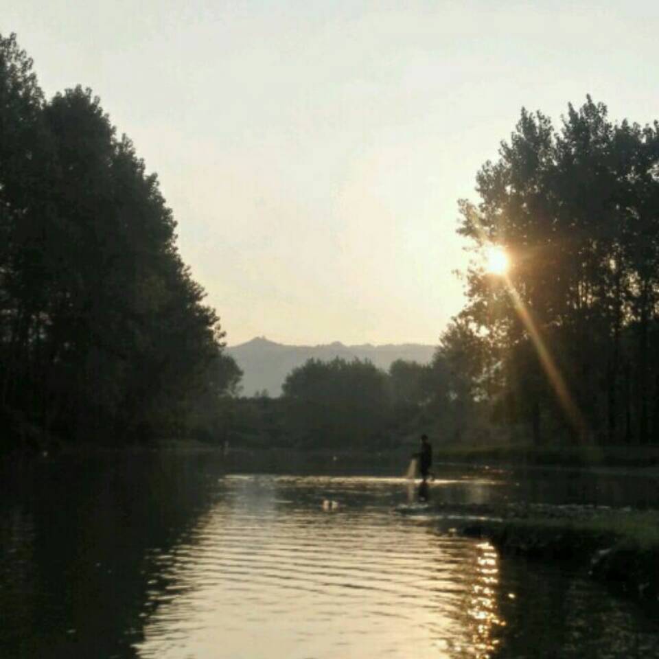 用戶頭像